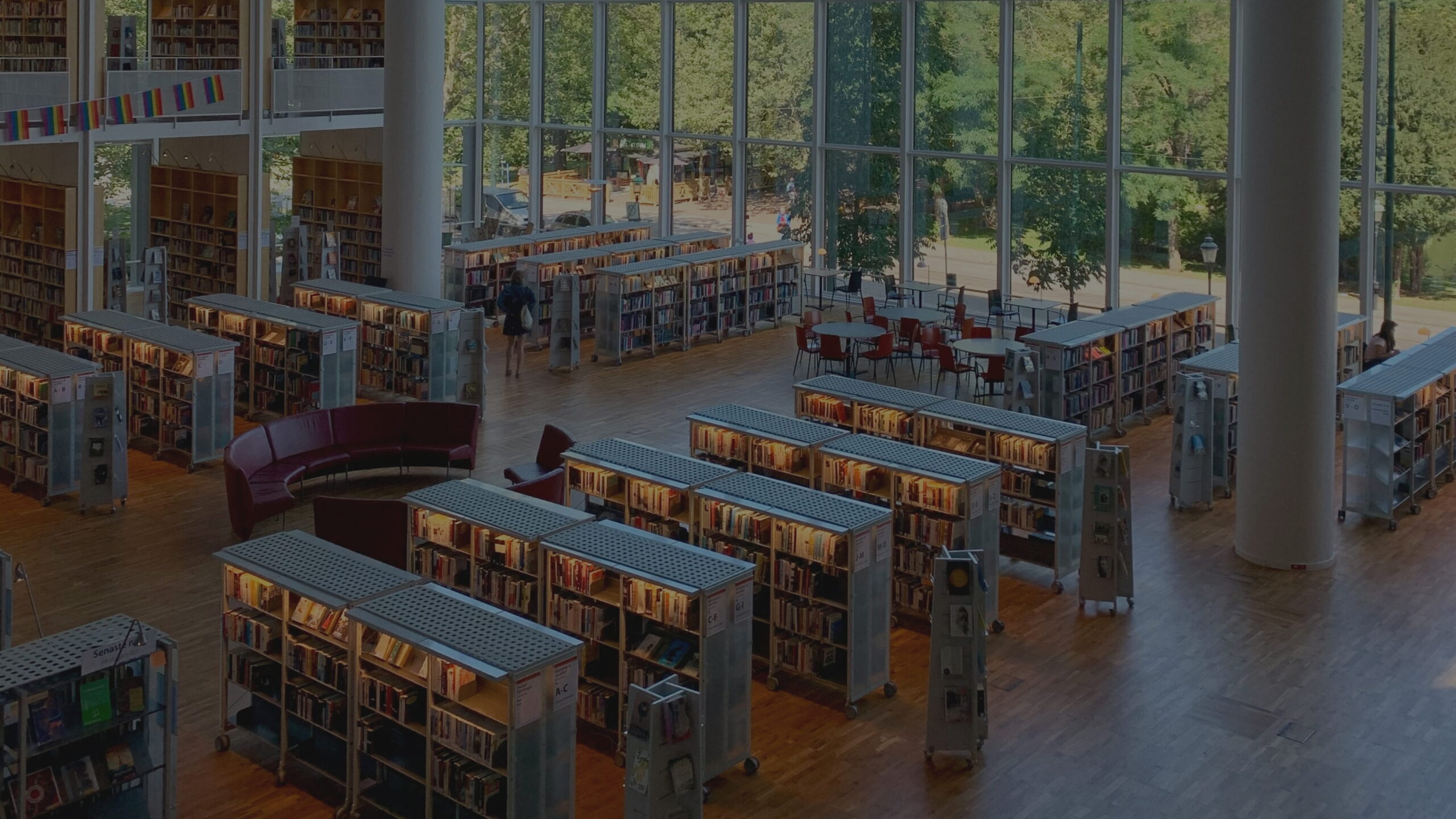 Modern library interior with rows of bookshelves and large windows overlooking a park